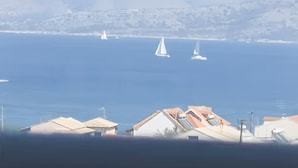 Vista costera con casas y veleros en el agua.