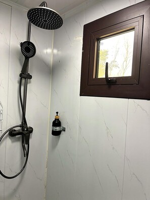 Shower, towels, soap, toilet paper
