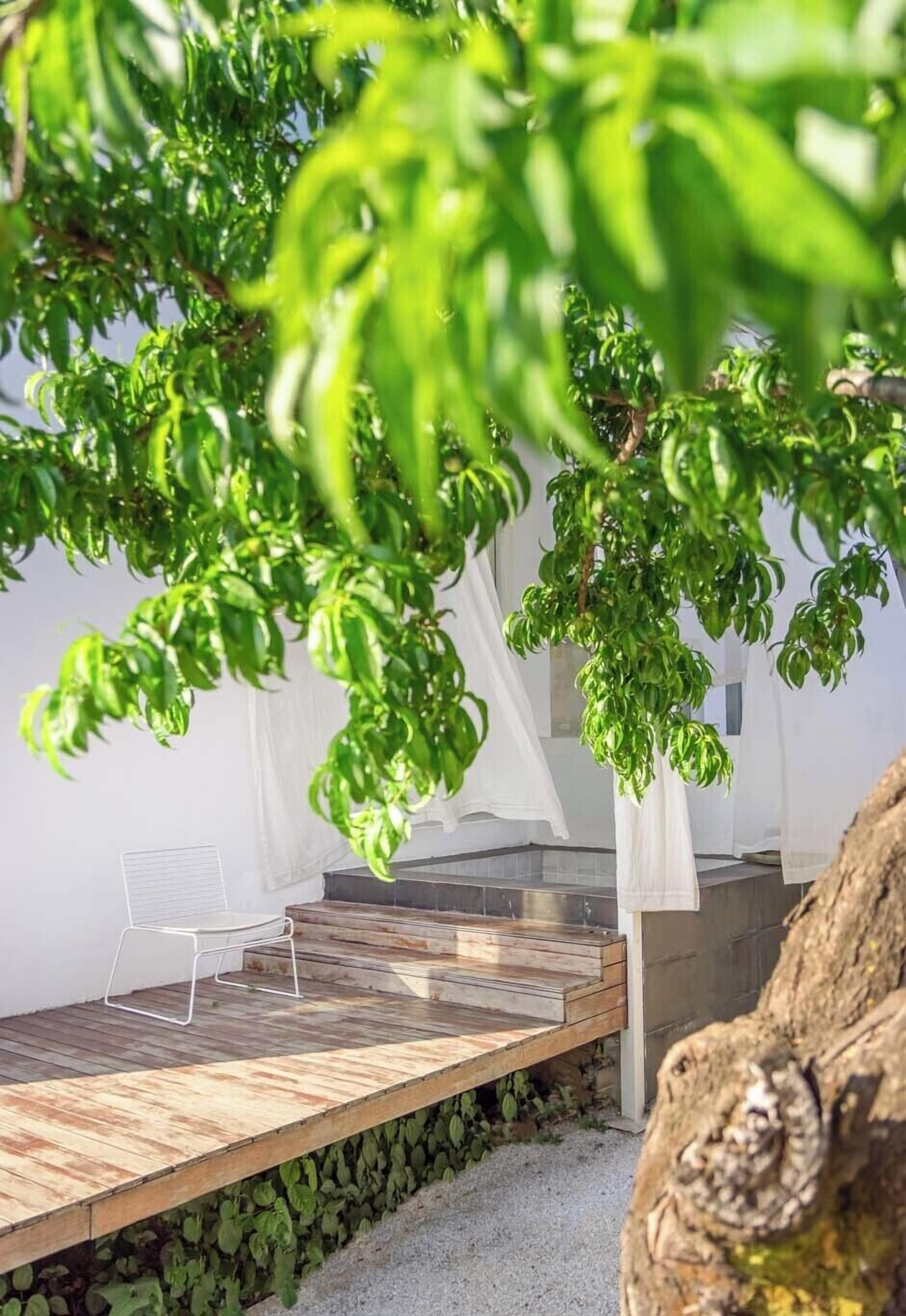 Une terrasse en bois avec une chaise blanche, un mur en pierre et un arbre aux feuilles vertes.