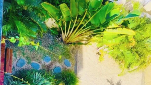 Una piscina rodeada de plantas variadas y una silla roja.
