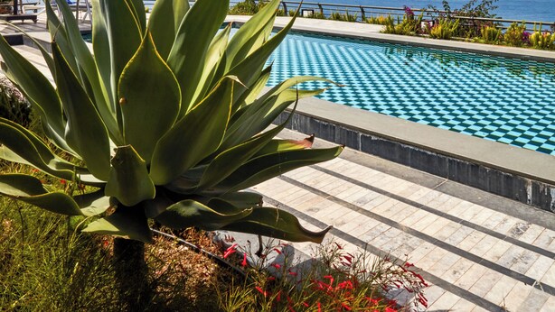 Área de piscina com vista para o oceano, cercada por plantas e um guarda-sol branco.