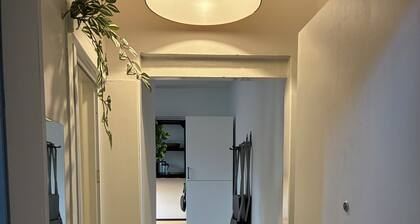 Schickes Cityappartment in Rheinnähe - für Singles od. Paare