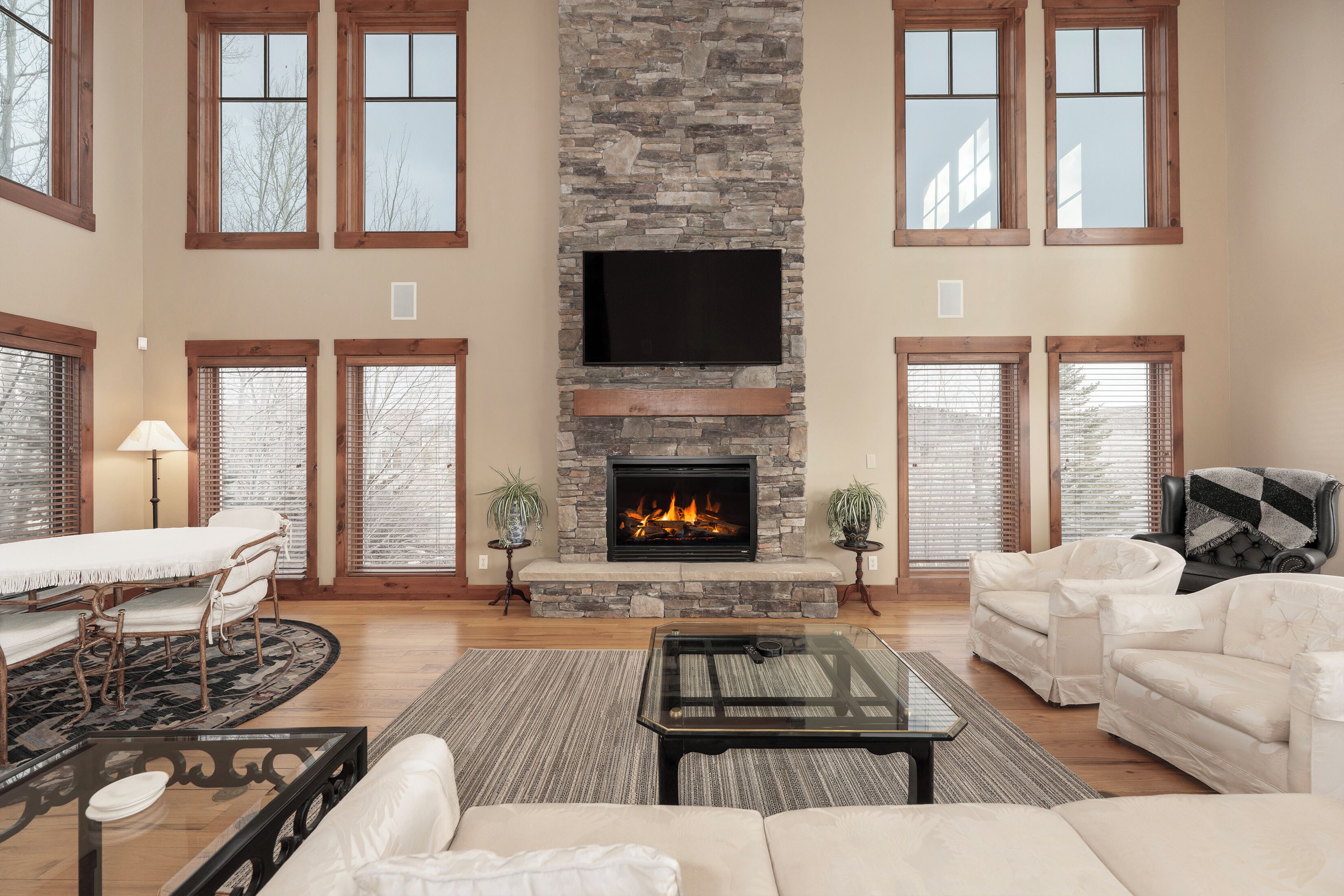 TV, fireplace, table tennis