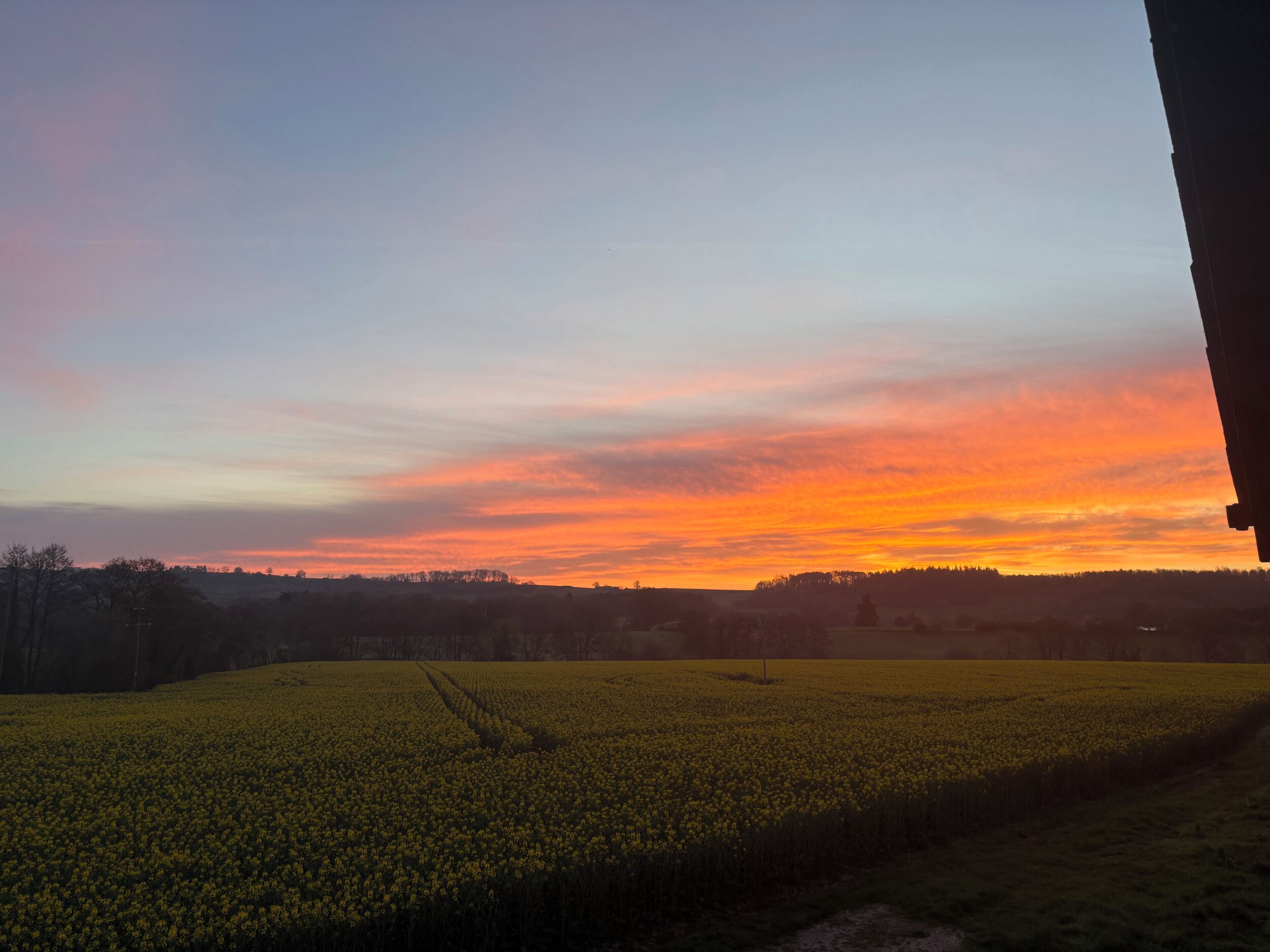 A field with a sunset in the background.