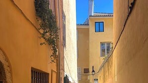 Un estrecho callejón adoquinado entre edificios con ventanas protegidas y un cielo azul despejado.