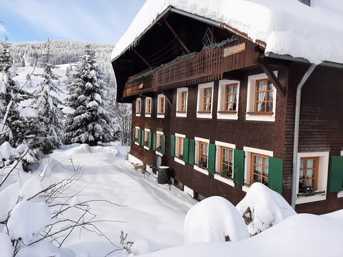 Apartment Bachrainhof 2 mit Bergblick, privatem Garten und WLAN