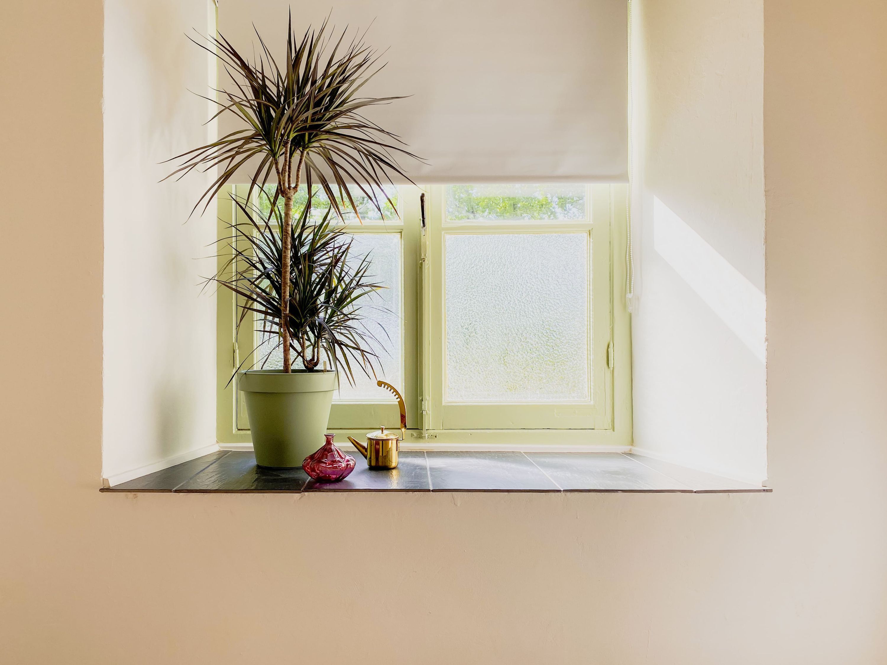 House, Accessible | 1 bedroom