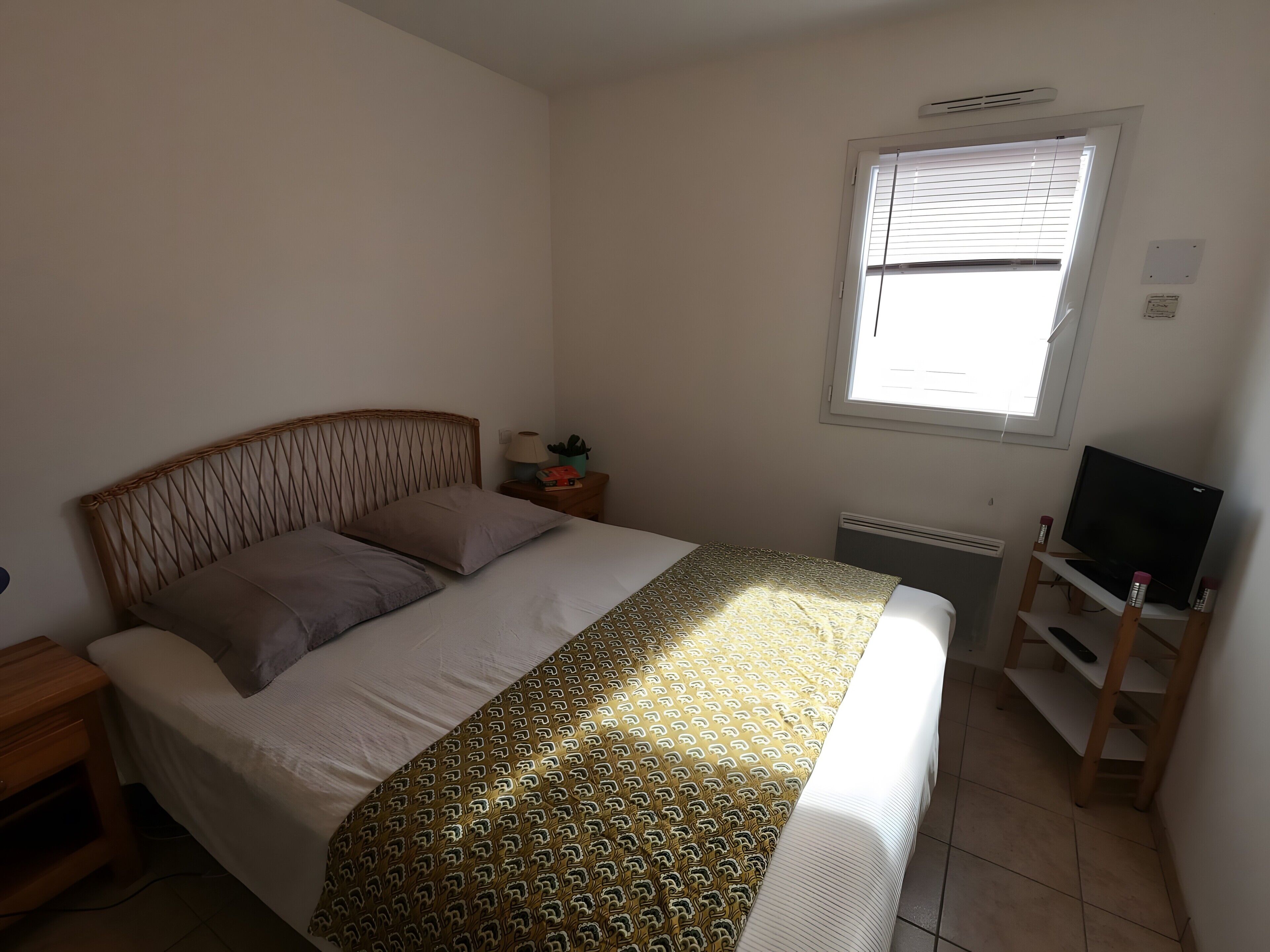 A bedroom with a bed, bedside table, lamp, potted plant, window, and TV stand.