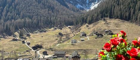 Blick von der Unterkunft