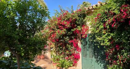Private House with Swimming Pool Can Julio