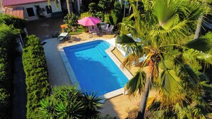 Piscina rodeada por palmeiras e plantas em vasos, com área de estar ao ar livre e um pátio com piso de azulejos.
