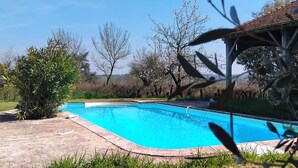 Una piscina con agua cristalina azul, rodeada de follaje y árboles.