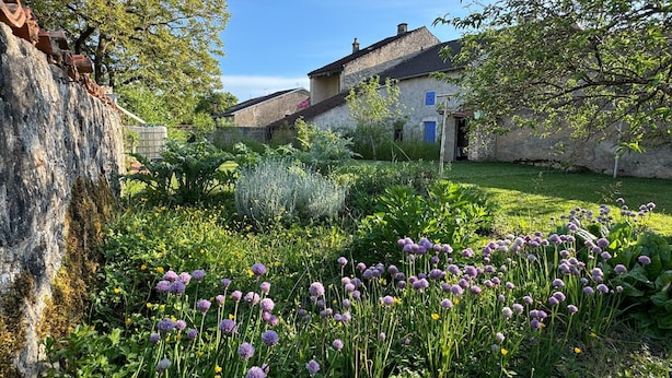 Ein Garten mit violetten Blumen, einer Steinmauer und einem Haus mit einer blauen Tür.