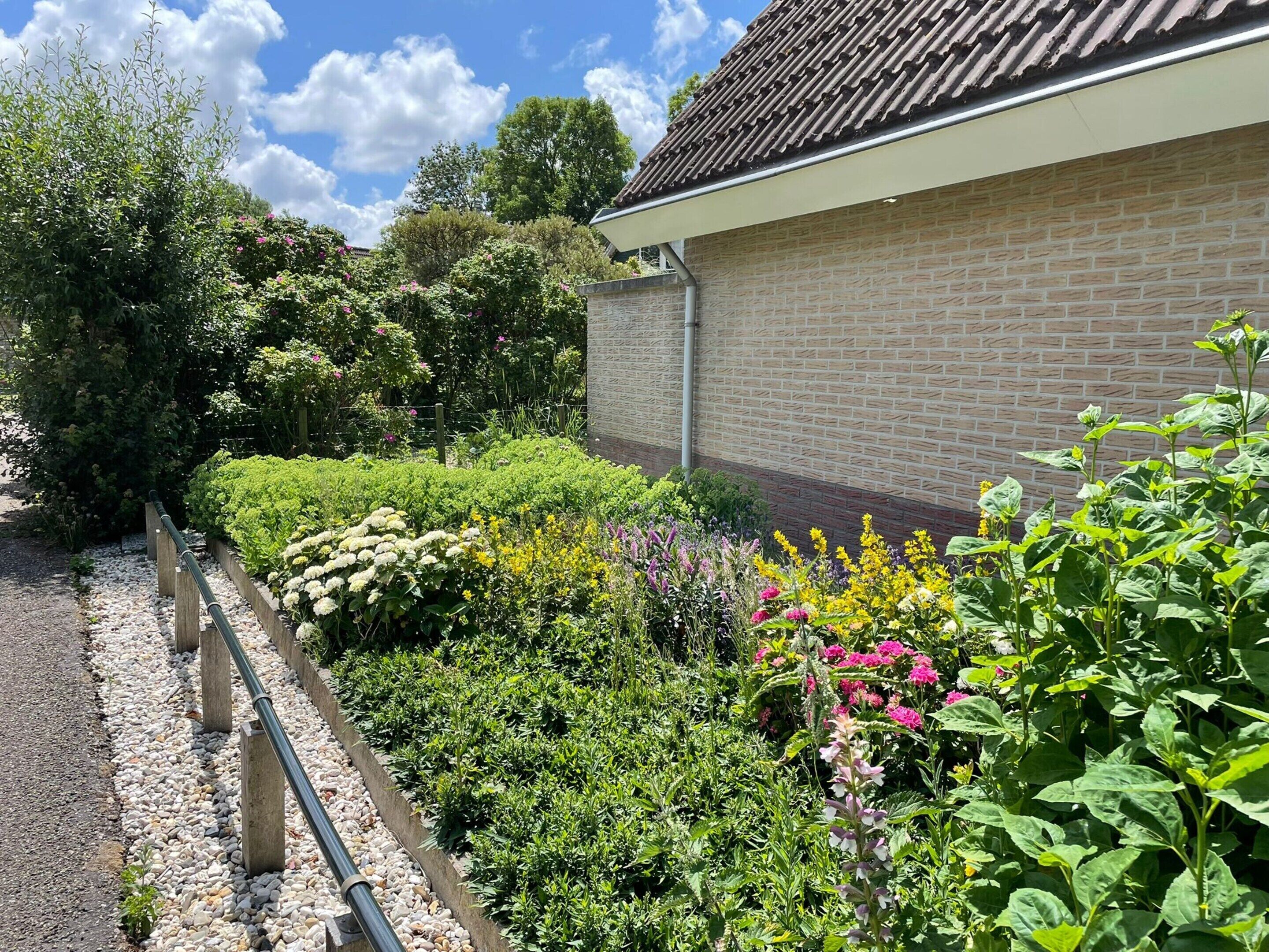 A garden with various plants and flowers, a brick wall, and a metal fence.