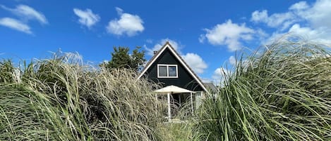 House | View from property