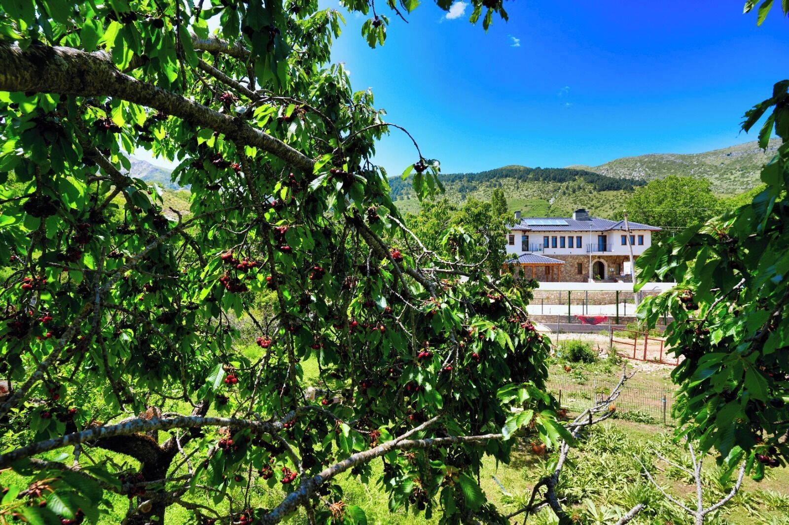 Jardines del alojamiento