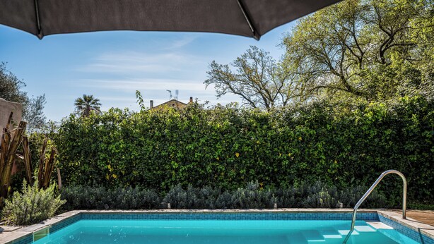 Una piscina con plataforma de madera, rodeada de abundante vegetación y un cielo azul despejado.