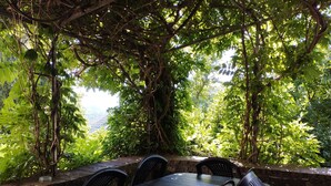Una mesa y sillas bajo un dosel de árboles con vistas a un paisaje montañoso.
