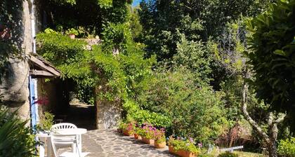 Gîte Iris - Mas de la Petite Occitane - Cévennes sud - Nature, Hiking, Swimming pool