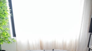 A single bed with grey bedding and two pillows, a potted plant to the left, and a window with curtains. - COZY APT 10 AIRPORT (Punta Cana)