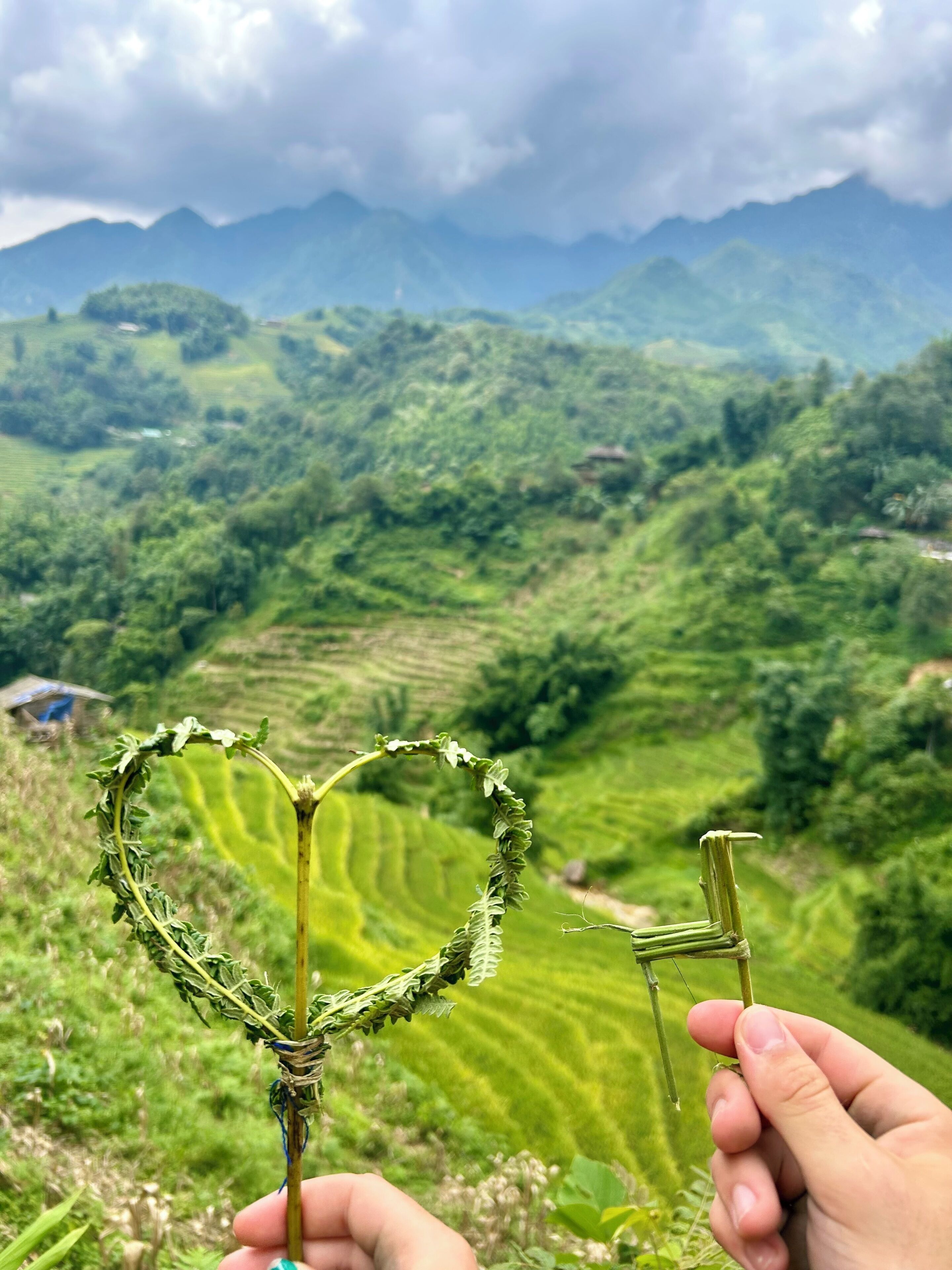 Une main tenant une plante en forme de cœur, avec un paysage montagneux en arrière-plan.