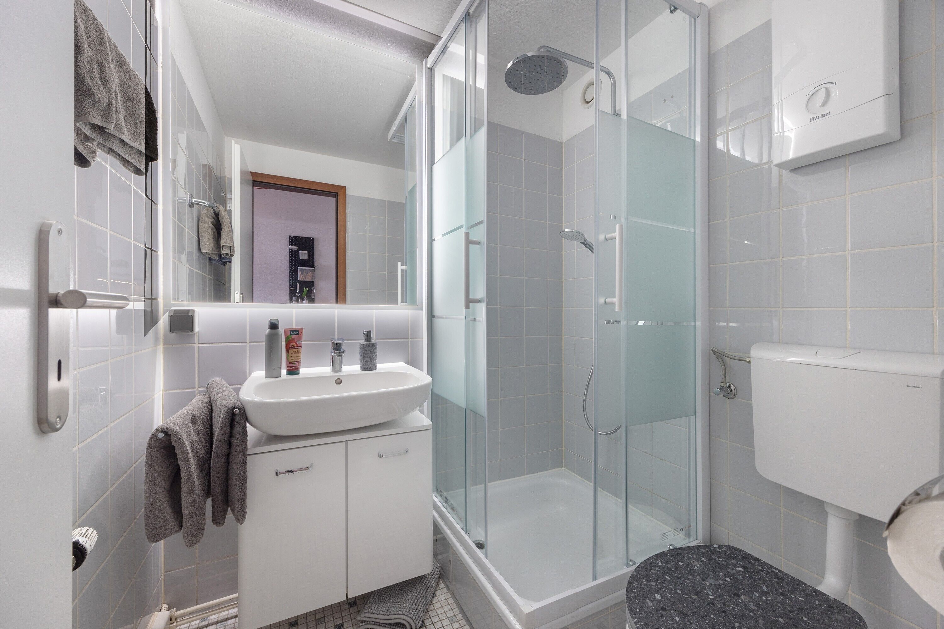 Shower, hair dryer, towels