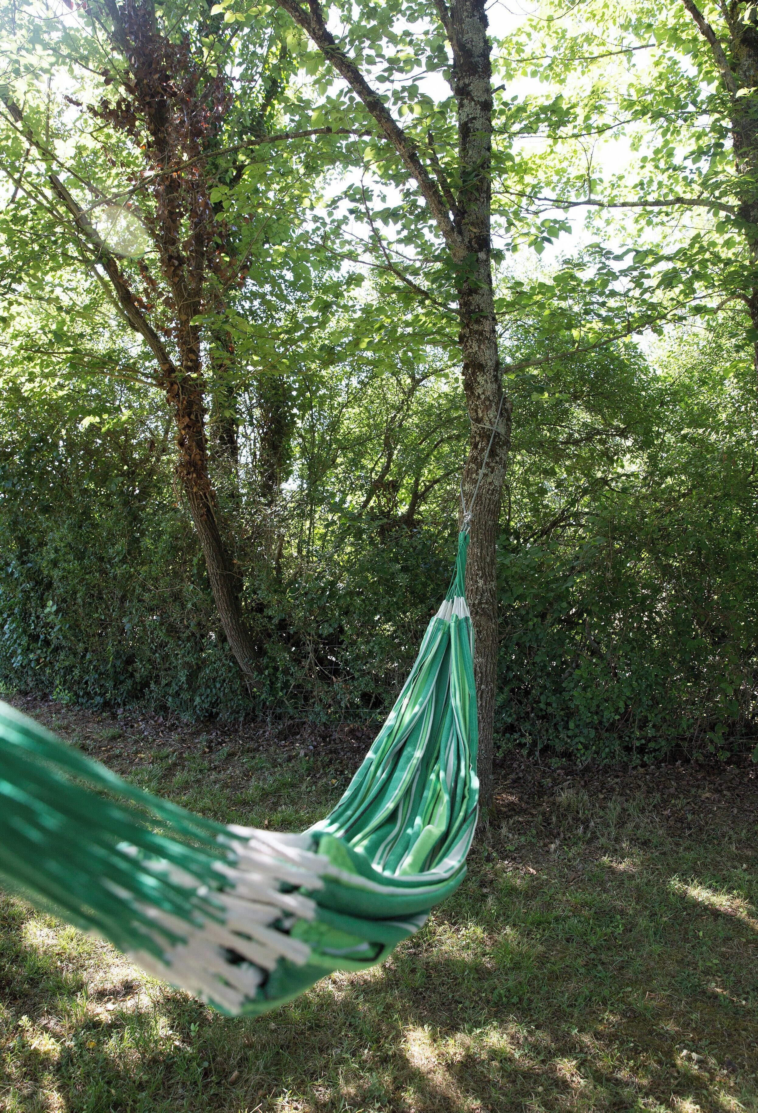 Een hangmat gespannen tussen bomen in een bebost gebied.