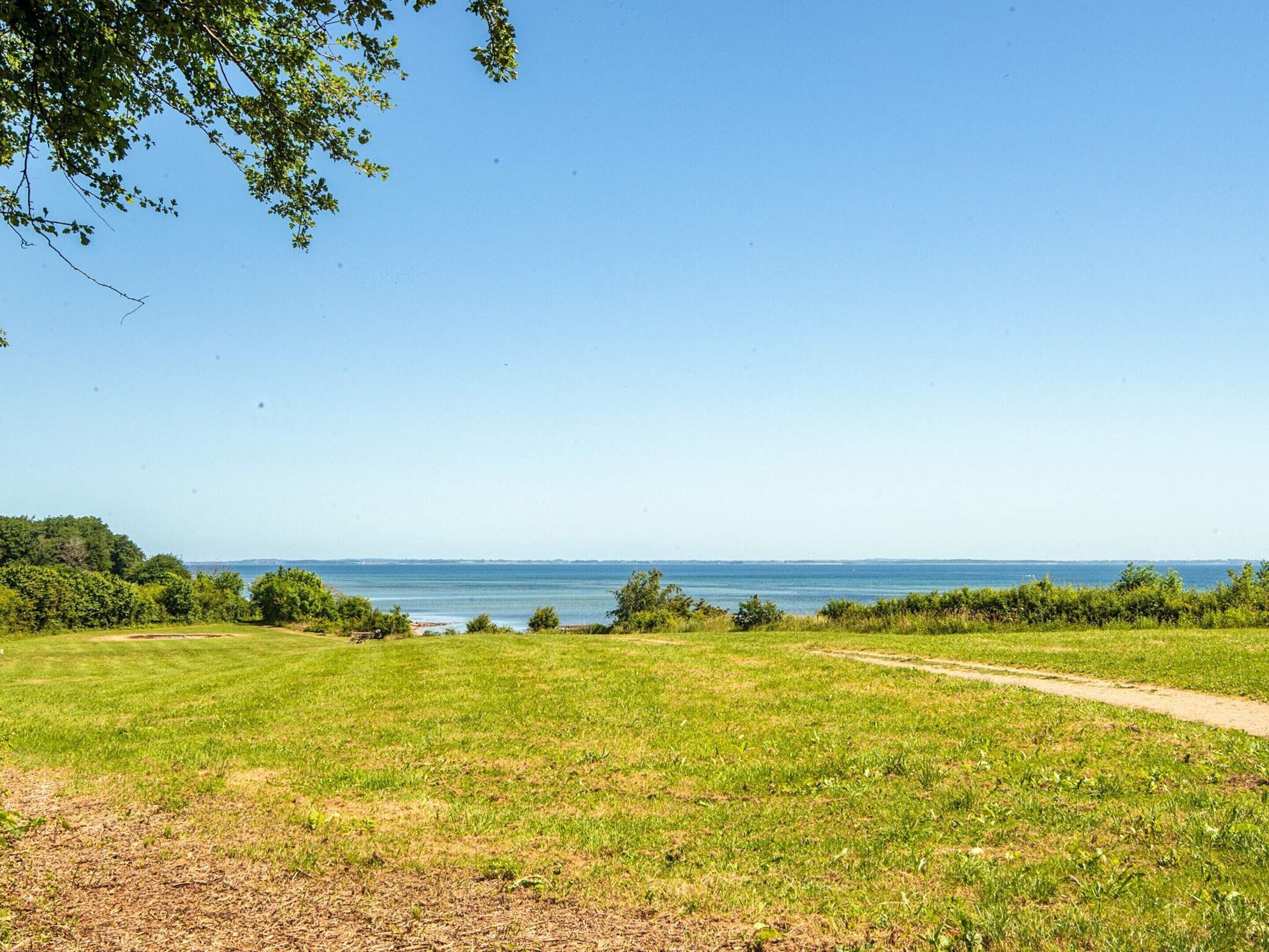 A grassy field with a path leading to a body of water, surrounded by trees and vegetation.