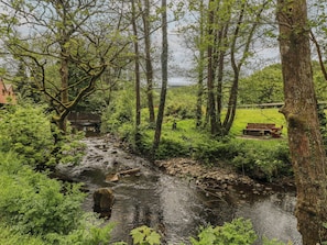 Un río serpenteando por un área boscosa, con un banco y una mesa de picnic.