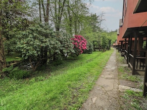 A pathway leading to a row of log cabin-style buildings with a lush garden and trees. - Cabin No. 2 - Salt and Fern Cabins (Port Talbot)