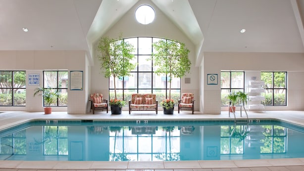 An indoor swimming pool with a high ceiling, large windows, and potted plants.