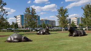 A grassy area with three large animal sculptures and modern buildings in the background. - Queen Suite | Free Breakfast, Shuttle, & Pool (Charlotte)