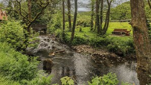 Un río serpenteando por un área boscosa, con un banco y una mesa de picnic.