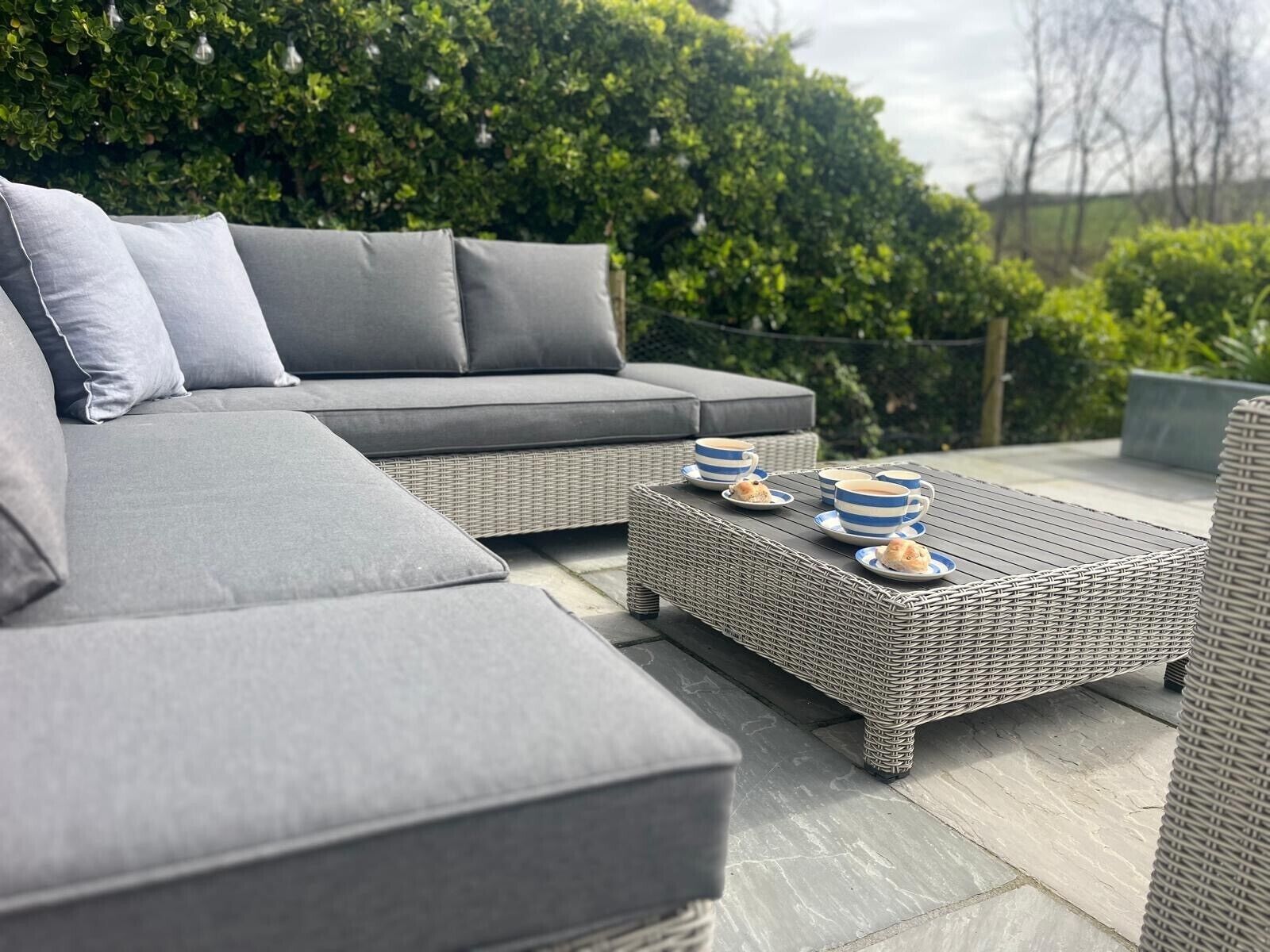 Terras