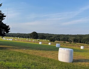 A rural landscape with hay bales and a clear sky. - Spacious Farmhouse Lodging in Tiverton 4 Corners (Tiverton)