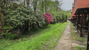Cottage | Property grounds