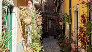 Une ruelle étroite, bordée de bâtiments des deux côtés, avec des plantes en pot et une porte au fond.