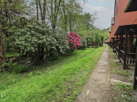 A pathway leading to a row of log cabin-style buildings with a lush garden and trees.
