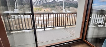 Apartment 'Plainpalais' with Mountain View, Balcony and Wi-Fi
