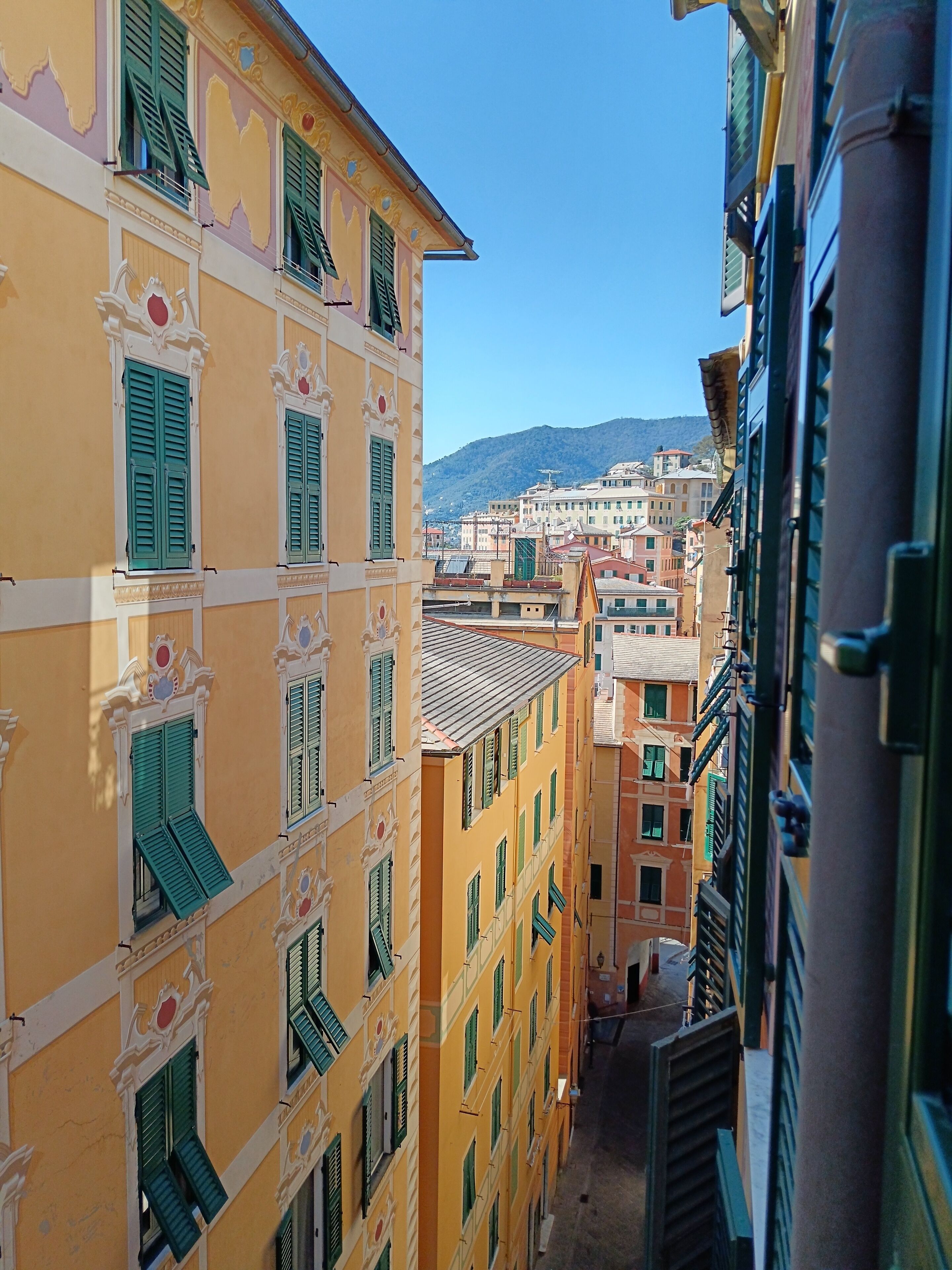 Vista desde la propiedad