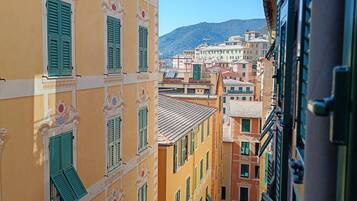 Vista desde la propiedad