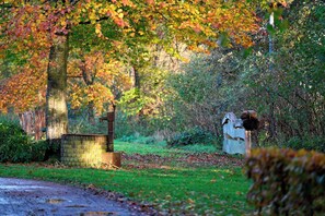 House | View from property - Farmhouse With Turkish Steam Bath (Vriezenveen)