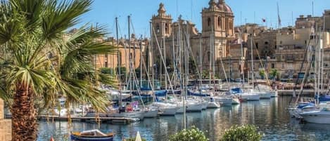 A marina with boats docked, a palm tree, and a building with domed architecture in the background.