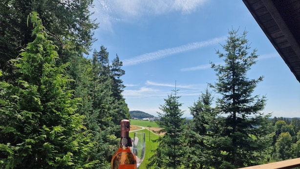 Une bouteille de vin Prosecco posée sur une rambarde en bois, avec une vue panoramique sur une forêt et une route sinueuse.