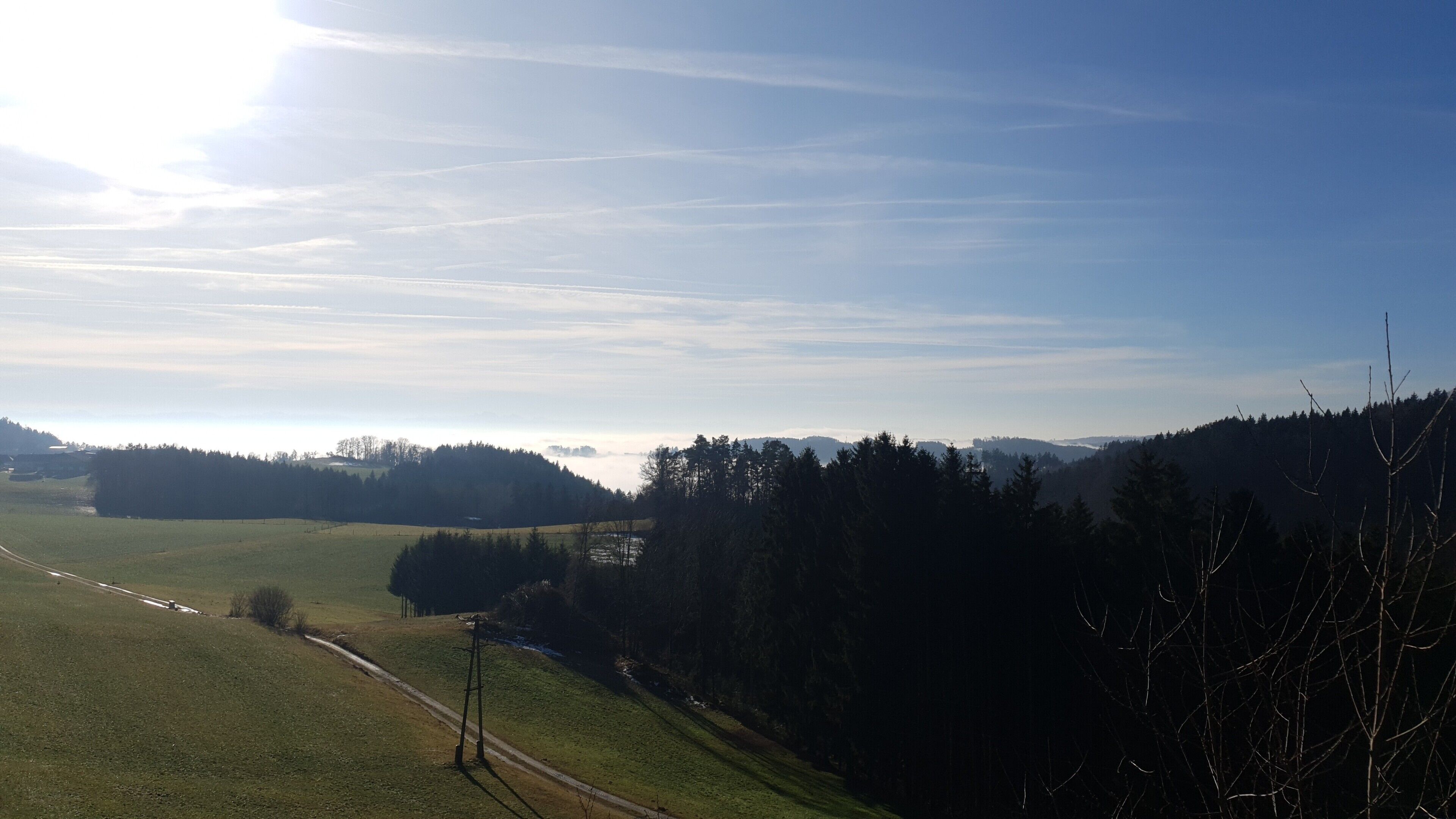 Un paysage rural avec un ciel dégagé, une route et une zone boisée.