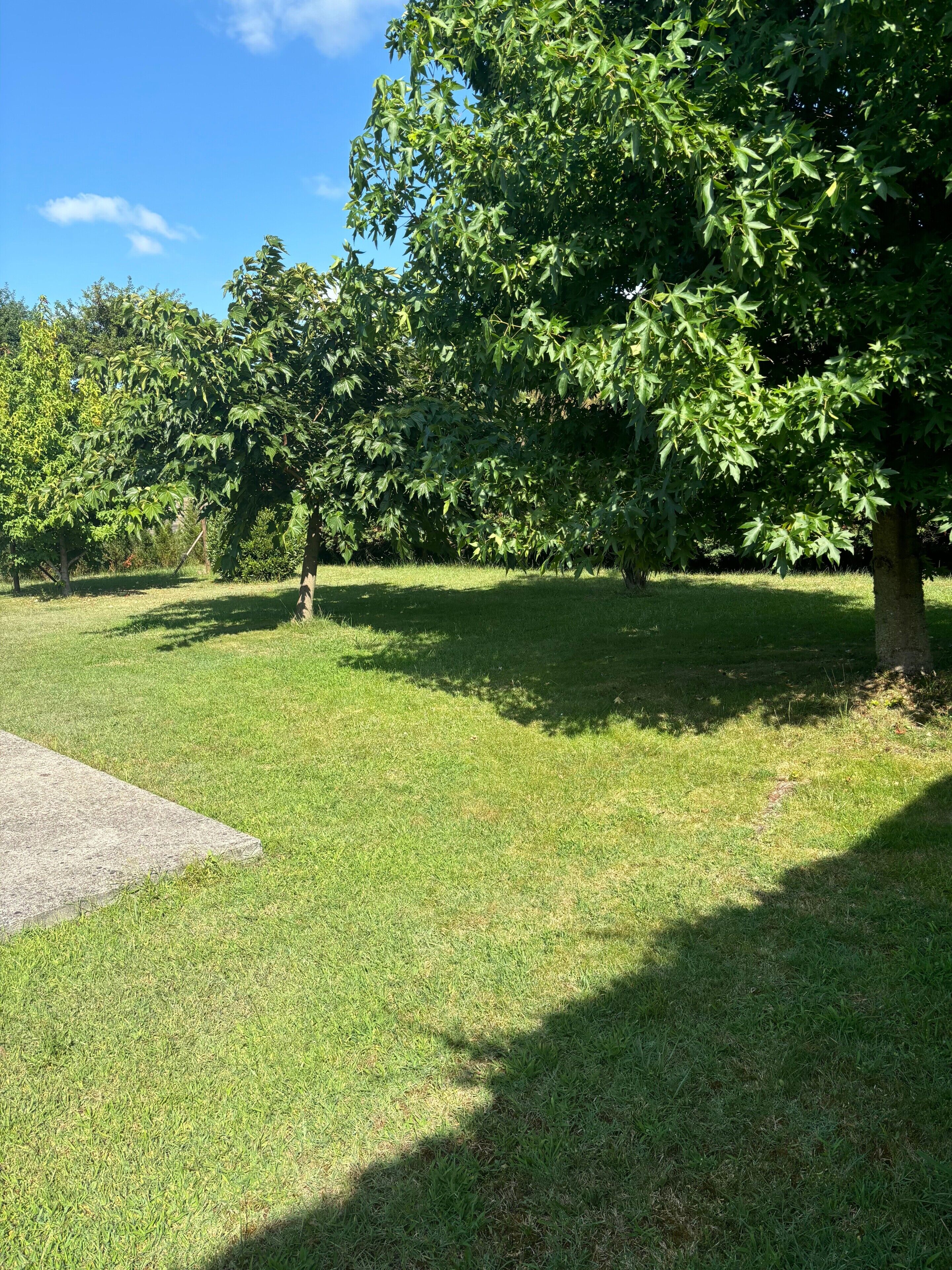 Áreas de la propiedad