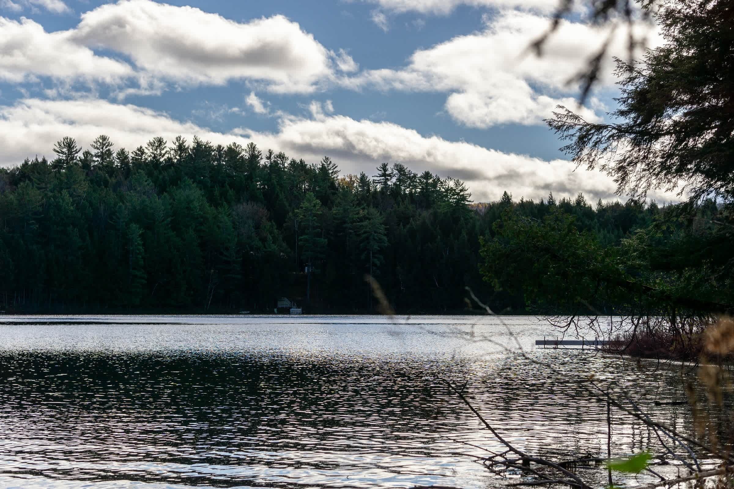 Un lago tranquilo con una orilla arbolada y un cielo despejado.