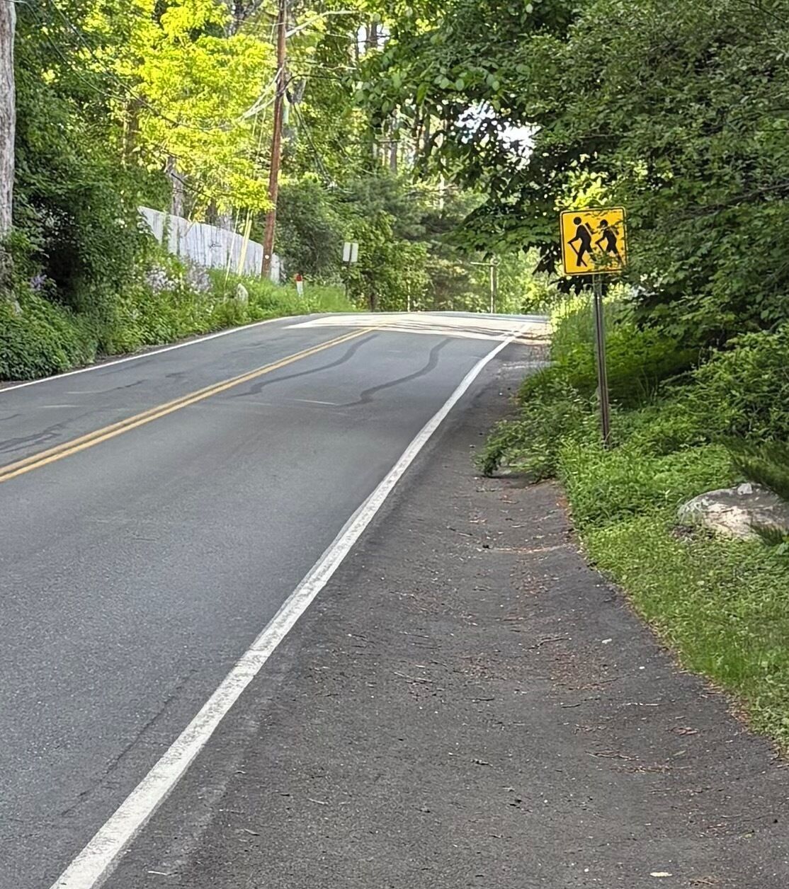 A two-lane road with a pedestrian crossing sign, surrounded by greenery.