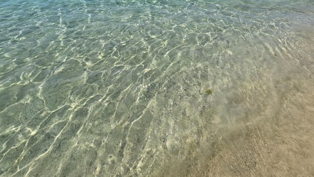 Freie Sicht auf einen Strand mit flachem Wasser und weiter Küste.