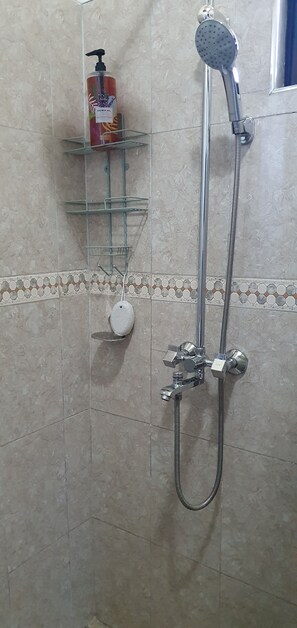 Shower, bidet, towels, soap